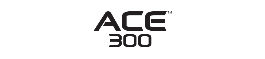 Logo ACE 300