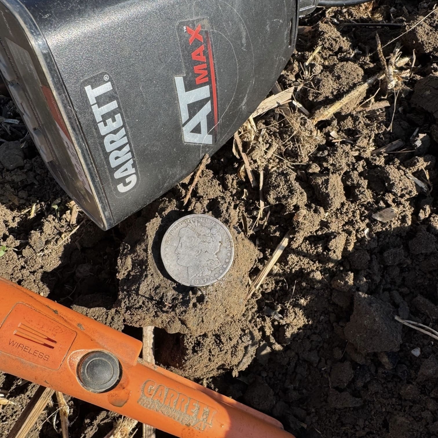 OCTOBER 2024 WINNER!!!