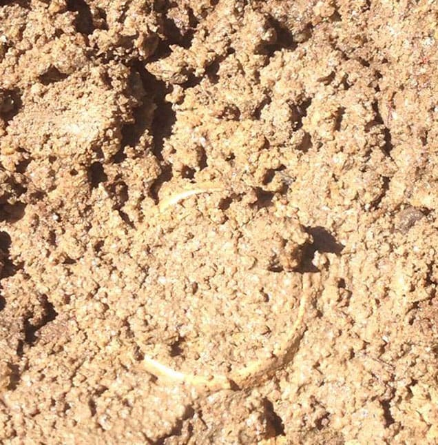 DECEMBER 2016 HAS FIVE WINNERS!