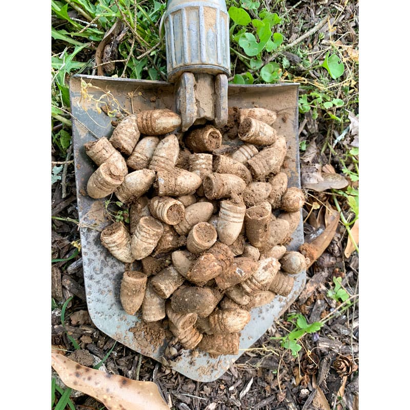 MAY 2019 HAS TWO WINNERS!!!