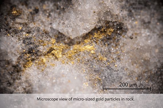 Observation au microscope de particules d'or de taille micrométrique dans une roche
