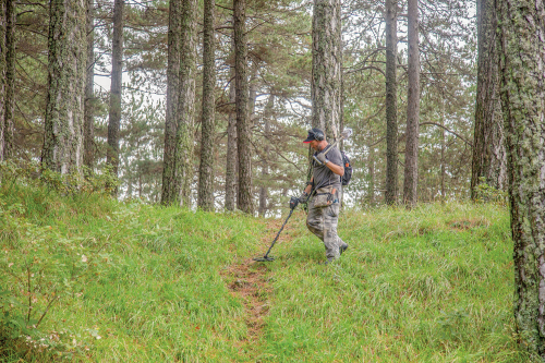 A man metal detecting in the forest with a Garrett AT Max.