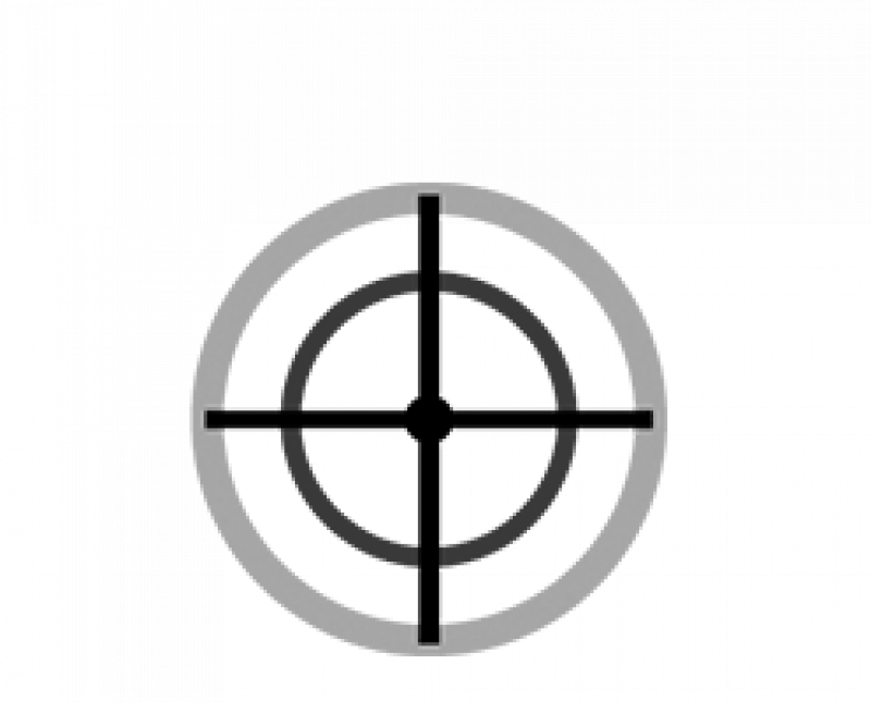 Electronic Pinpointing