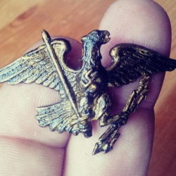 1938 Swastika eagle hat pin, found by Rafal S. with ACE 200i