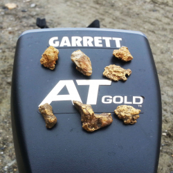 Goldklumpen und -brocken mit einem Gesamtgewicht von 32 g, gefunden von Jeff S.