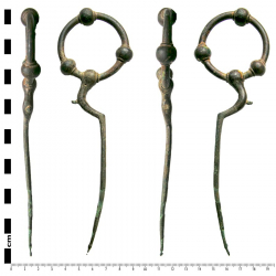 Iron age swan neck pin, found by Michael K.
