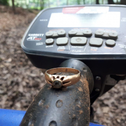 Goldring mit Diamant aus dem 18. Jahrhundert, gefunden von Marcel S.